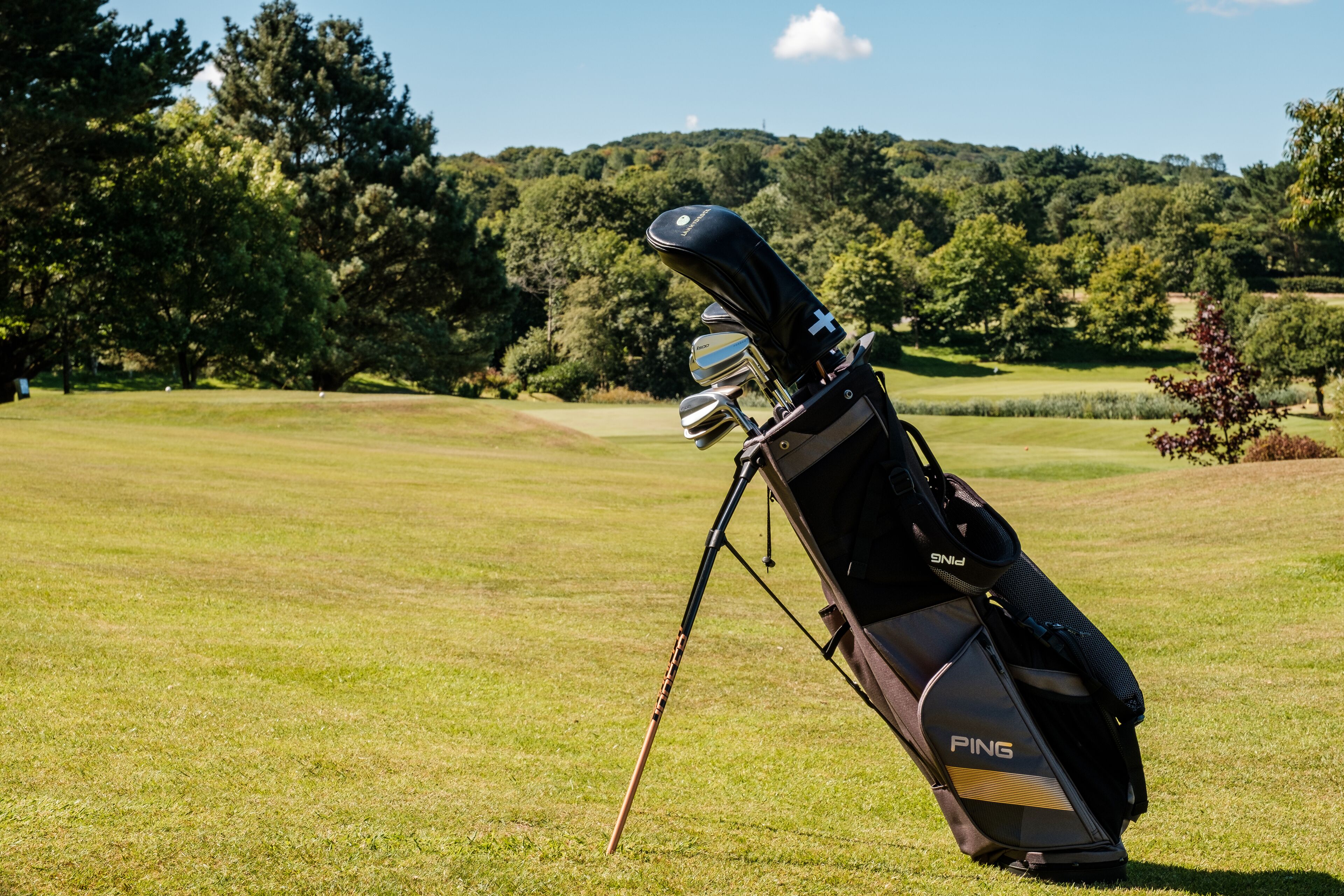 Un bolso de golf sobre un campo de césped con árboles al fondo.