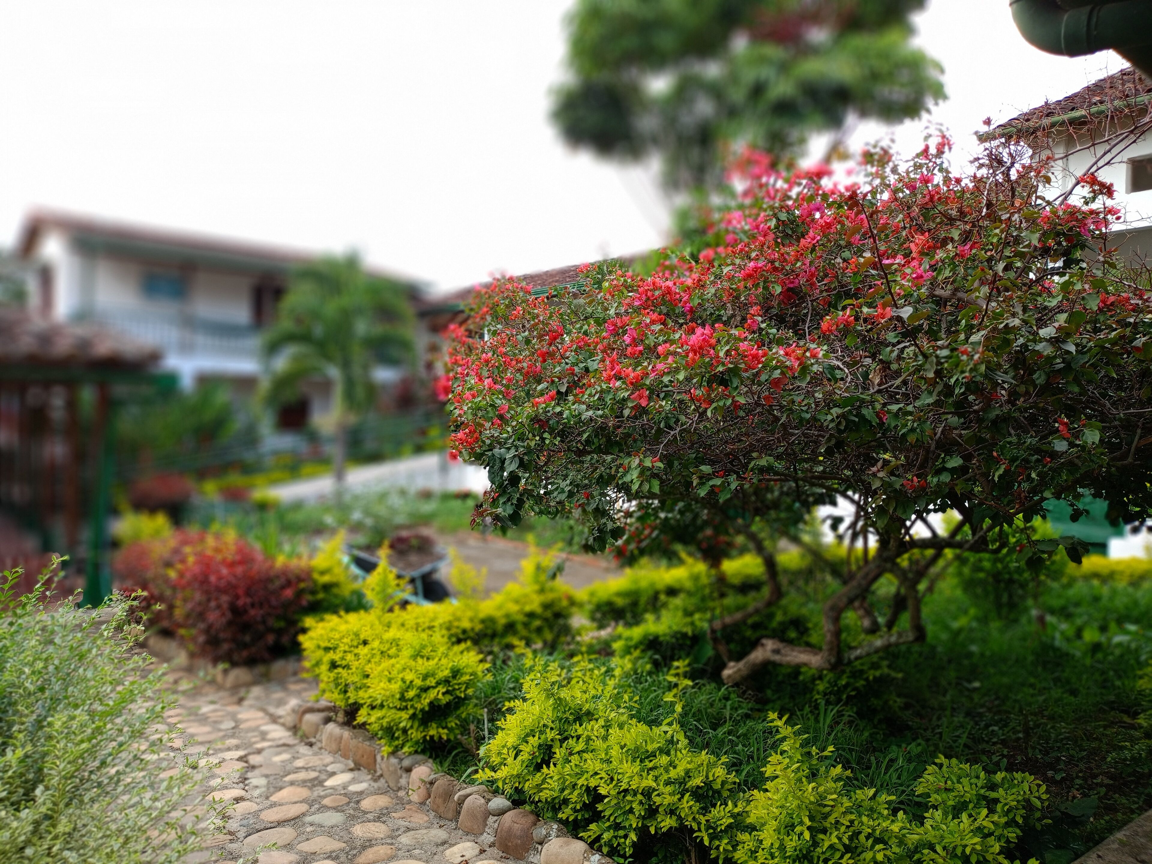 32-inch LED TV with cable channels, TV, heated floors