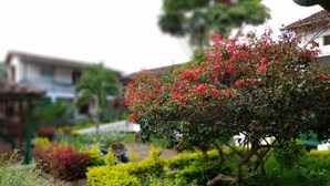 A garden with various plants and a stone pathway. - HOTEL LIDERATO (Paramo)