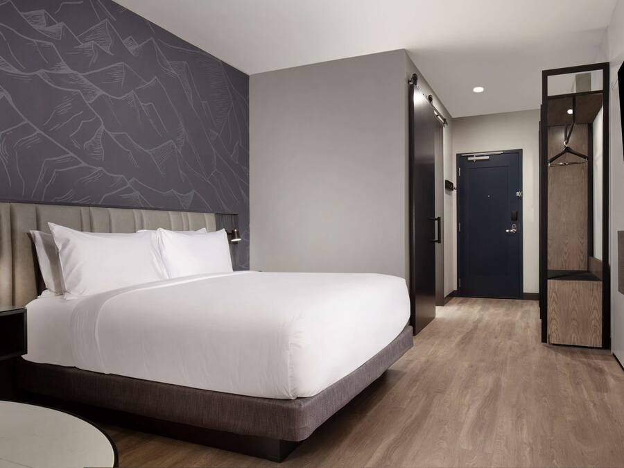 A modern hotel room with a large bed, a flat-screen TV, a bedside table with a lamp, and a wall-mounted TV.
