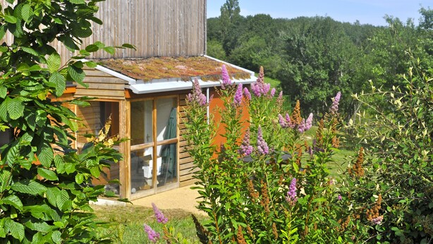 Ein modernes Haus mit einem Gründach, umgeben von üppiger Vegetation und violetten Blumen.