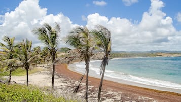 En la playa, camastros y toallas de playa 