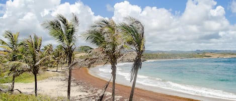 En la playa, camastros y toallas de playa 