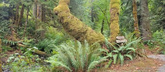 2 Bedroom Hiker's Getaway; Just 10 minutes to ONP hiking and lakes; Sleeps 4