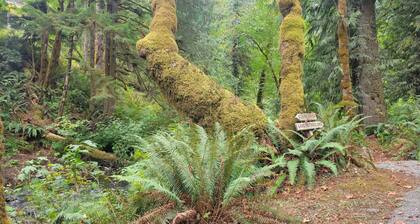 2 Bedroom Hiker's Getaway; Just 10 minutes to ONP hiking and lakes; Sleeps 4