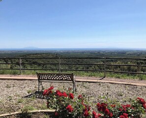 Property grounds - Gabbriccio - apartment in wine estate (Loc. Ortacavoli, Riparbella)