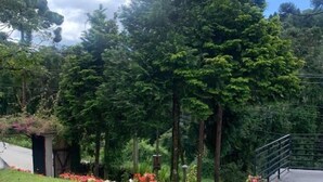 Un área ajardinada con un sendero pavimentado, una pequeña construcción y diversas especies de árboles y arbustos.
