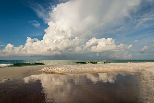 West End 30A Cottage- Near Gulf Place & Beaches/Dog Friendly/Golf Cart Rental