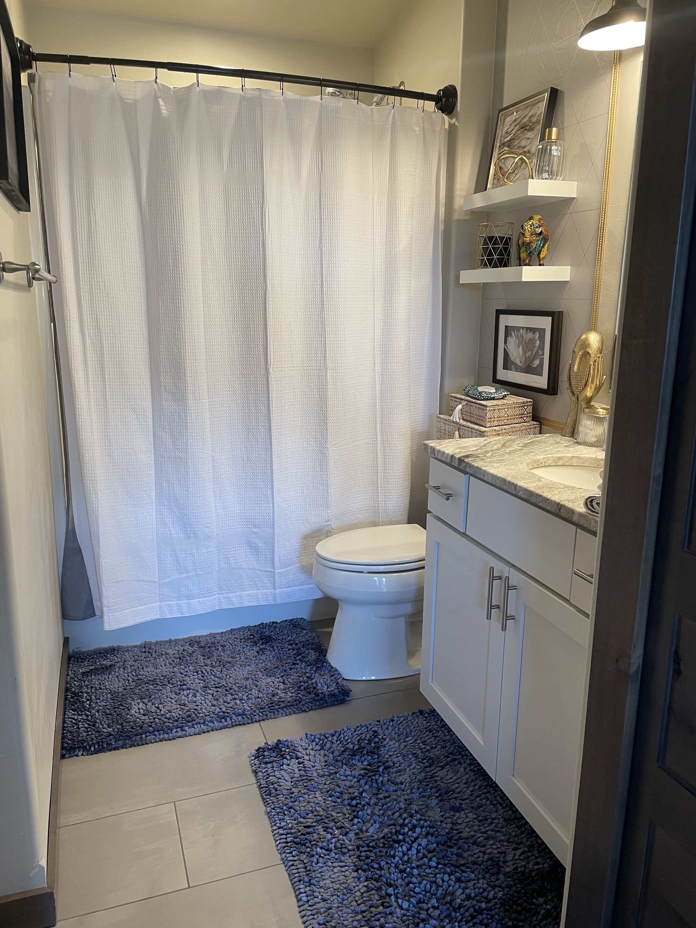 Colorful One Bedroom in Bozeman