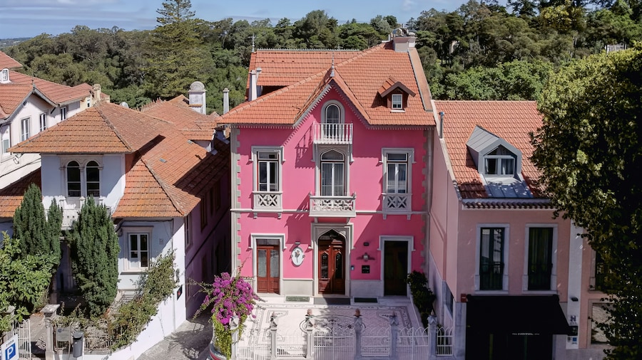 Sintra Marmoris Camelia