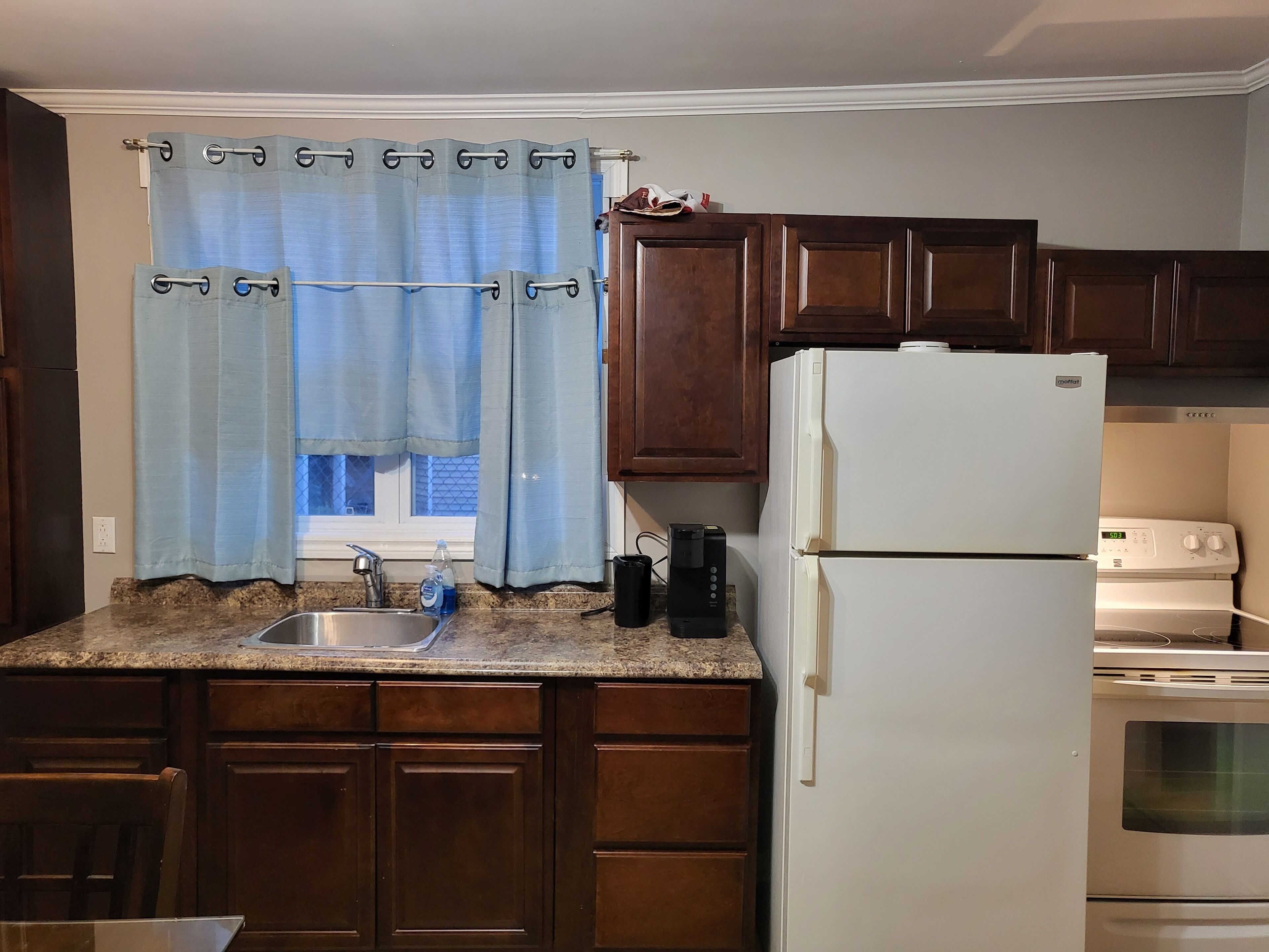 Historical Downtown Gem!! (with back yard)