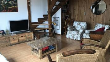 Televisión, chimenea y libros