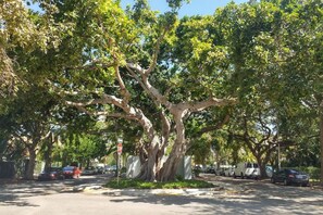 Estacionamiento en la propiedad 