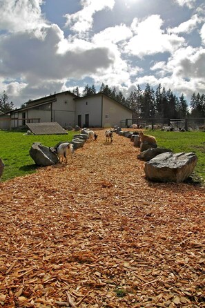 Overnattingsstedets uteområder