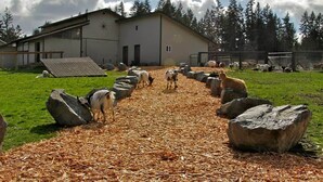 A gravel path leading to a building surrounded by trees.
