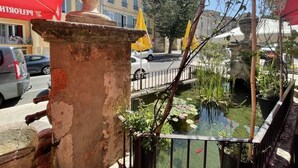 A courtyard with a fountain, a small pond with lily pads, and a tree. - Charming Mas in the countryside, near the village of Lambesc, large garden, (Lambesc)