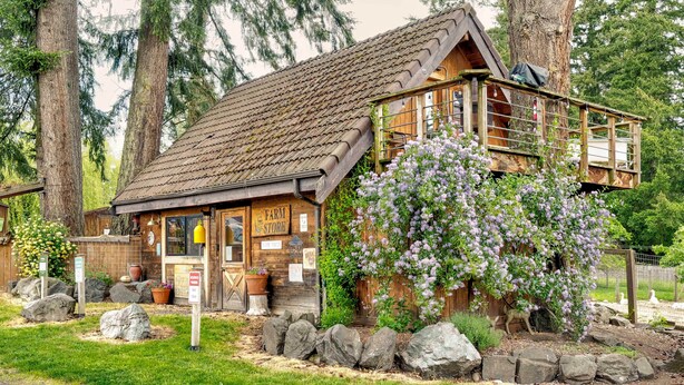 Una cabaña rústica de madera con un porche, un letrero que dice 'Farm Store' y un árbol en flor al frente.