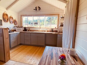 Fridge, microwave, stovetop, toaster