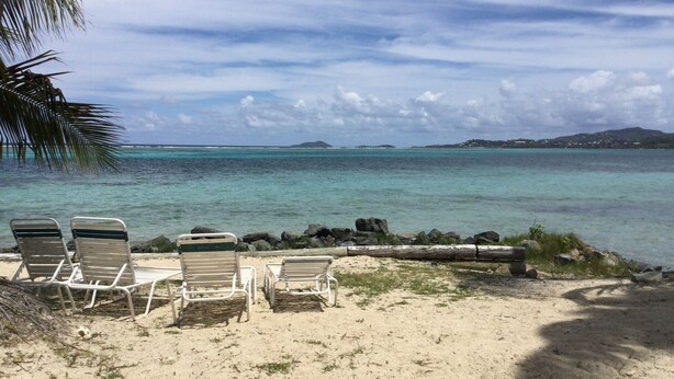 Une plage avec des chaises longues et un palmier.