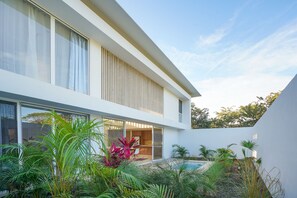 Une maison moderne dotée de grandes fenêtres, d’une piscine et d’une végétation luxuriante.