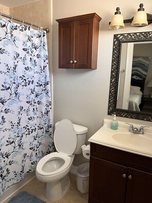 Een badkamer met een toilet, wastafel, kast, douchegordijn en spiegel.