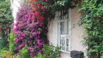 DĂ©tail de lâextĂ©rieur