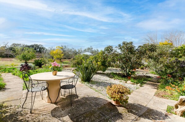A garden patio with a round table and chairs, surrounded by various plants and trees.
