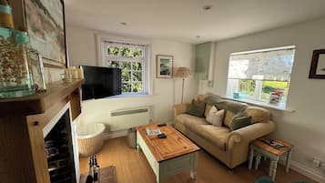 TV, fireplace, books