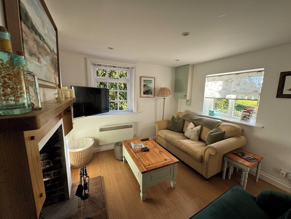 TV, fireplace, books