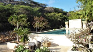 A pool surrounded by various plants and a mountainous backdrop. - Off grid living! Enjoy and love the Nature! (Savaneta)