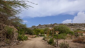 A dirt road leading through a rocky landscape with sparse vegetation and a few scattered trees. - Off grid living! Enjoy and love the Nature! (Savaneta)