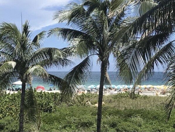 En la playa, camastros y toallas de playa 