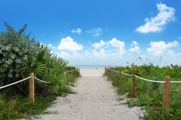 A sandy beach path leading to the ocean, flanked by greenery and wooden posts. - On Beach, 3rd/Ocean, Pool, SOFI (Miami Beach)