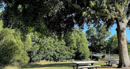 Community View - Campsite