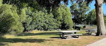 Community View - Campsite
