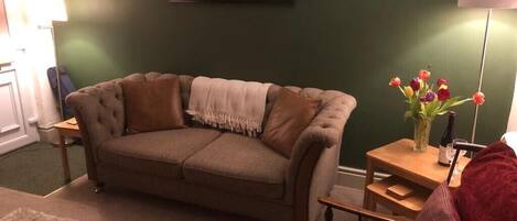 Televisión, chimenea y libros