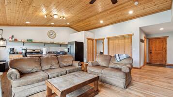 Smart TV, fireplace, books