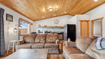 Smart TV, fireplace, books