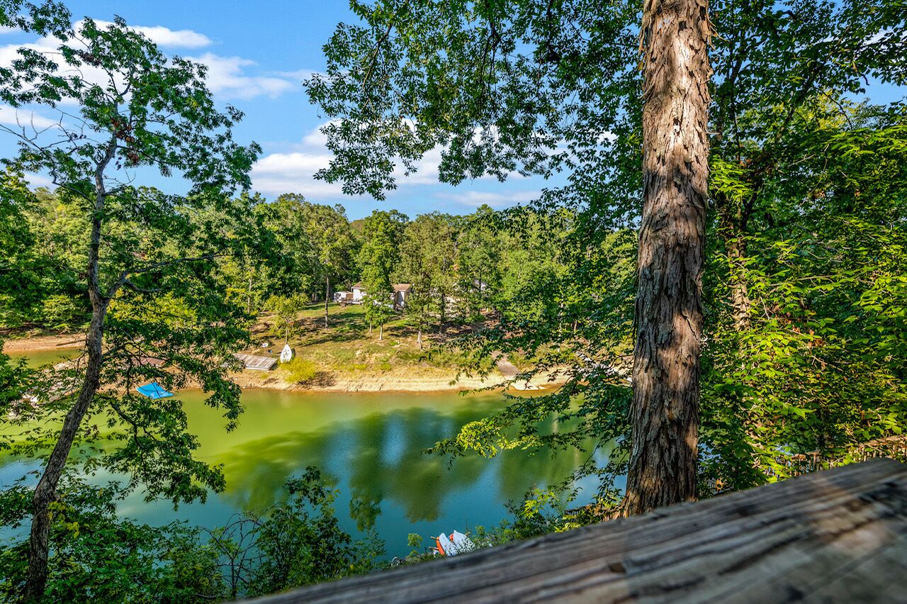 A view of a lake surrounded by dense trees and a few buildings in the background.