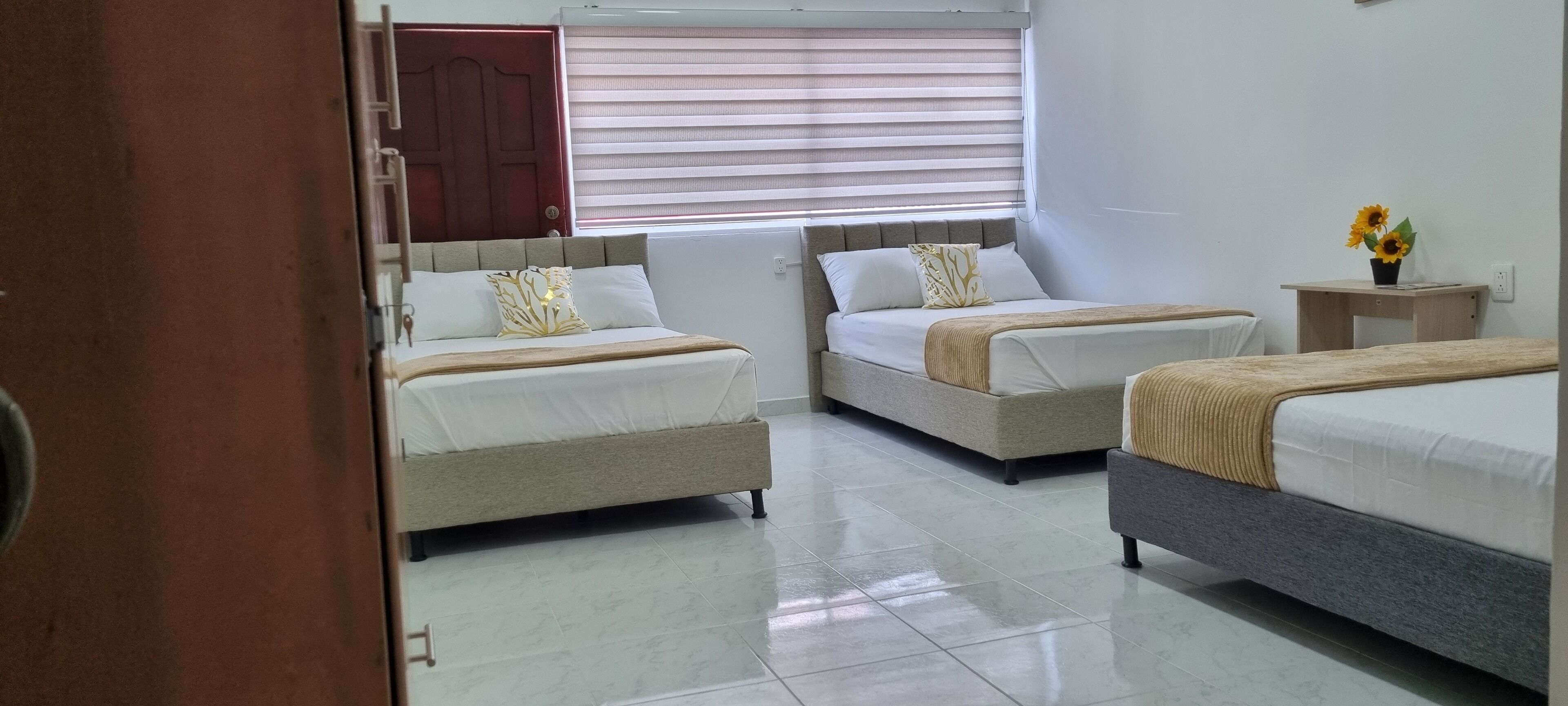 Photo - Garden Home Hostal