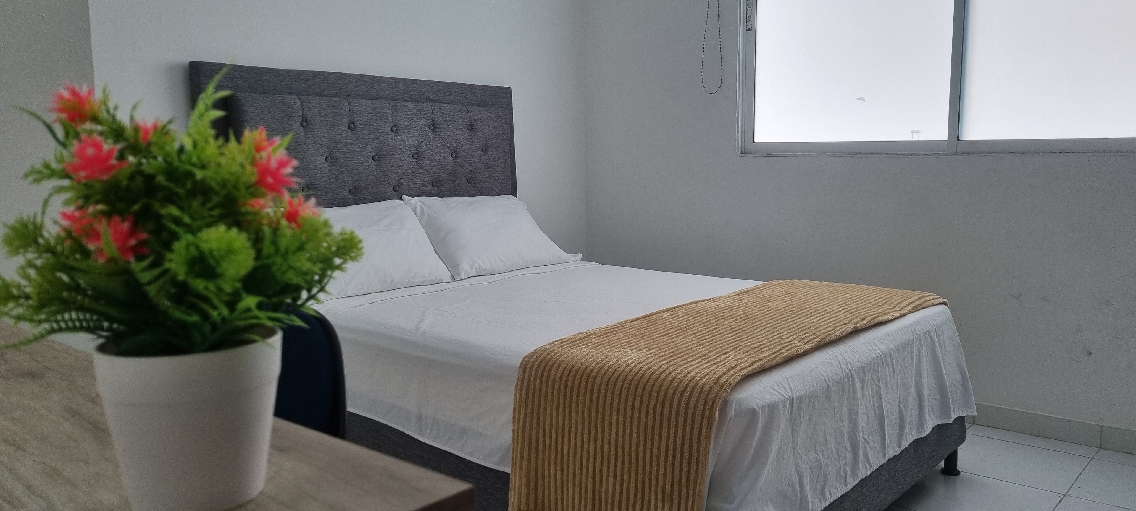 Photo - Garden Home Hostal