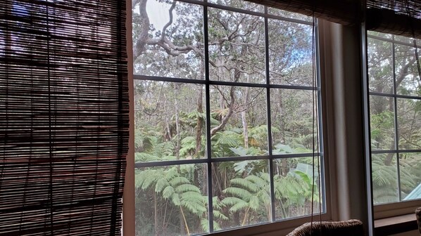 Interior - B&B: Ohia Loft Suite 5 mins from Volcanoes National Park (Volcano)