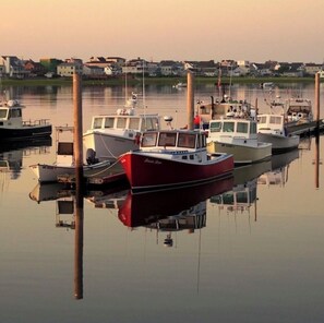 Marina - Sunkissed cottage, heated pools, club house, game room, 15 mins to local beaches (Arundel)