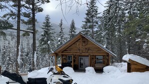 A snowmobile parked in front of a wooden cabin with a porch, surrounded by snow-covered trees and a mountain in the background.