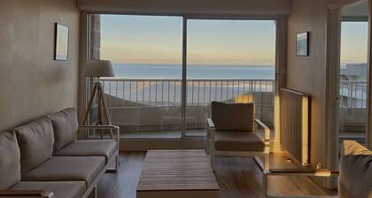 451-Appartement T3 spacieux avec magnifique vue mer