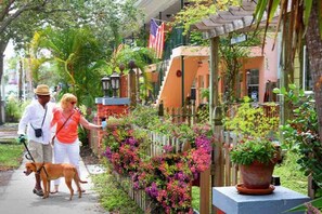 المنطقة المحيطة بالمنشأة