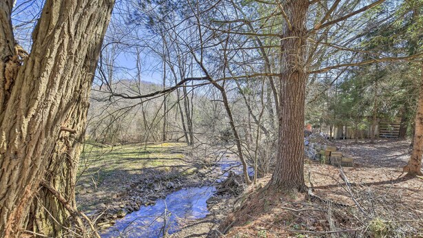 Un entorno natural al aire libre con un arroyo, árboles y una valla de madera.