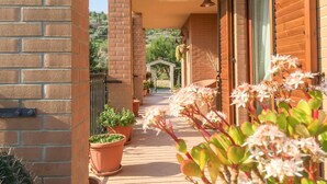 Een balkon met planten in potten, een houten deur en een bakstenen muur.