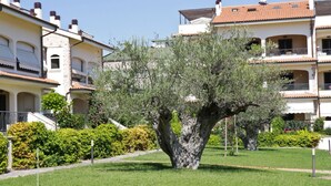 A residential building with a garden featuring a large tree. - Micaene D05 - Perseo - First floor apartment with balcony (Pineto)