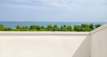 The recently-built Résidence Cerrano Park consists of two buildings with 12 three-room apartments, and offers guests the unique opportunity to have breakfast while enjoying a breathtaking view of the m